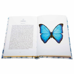 Le Petit livre des papillons