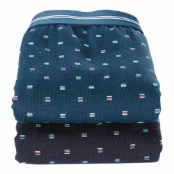 Boxers micro-motifs - les 2