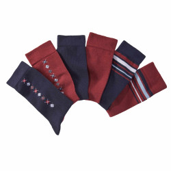 Chaussettes coton - les 6...