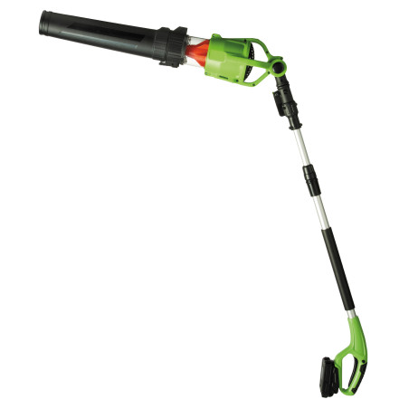 Souffleur télescopique à tête pivotante