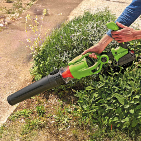 Souffleur télescopique à tête pivotante