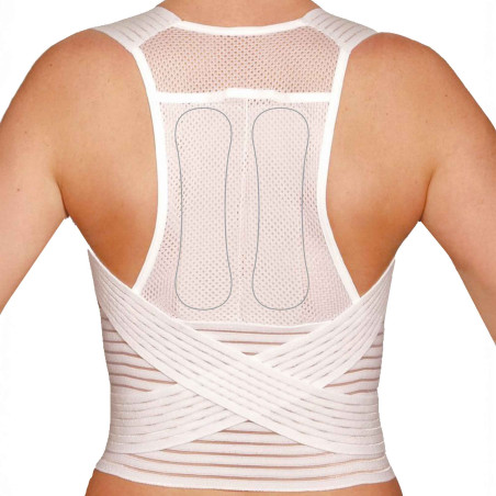 Ceinture de maintien