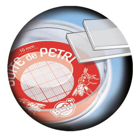 Mon premier laboratoire scientifique