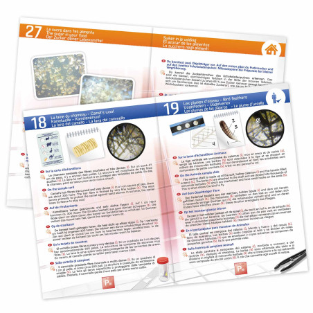 Mon premier laboratoire scientifique