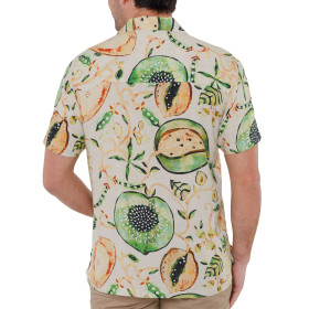 Chemisette droite viscose kiwi col bowling