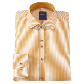Chemise droite coton rayée col italien (2)