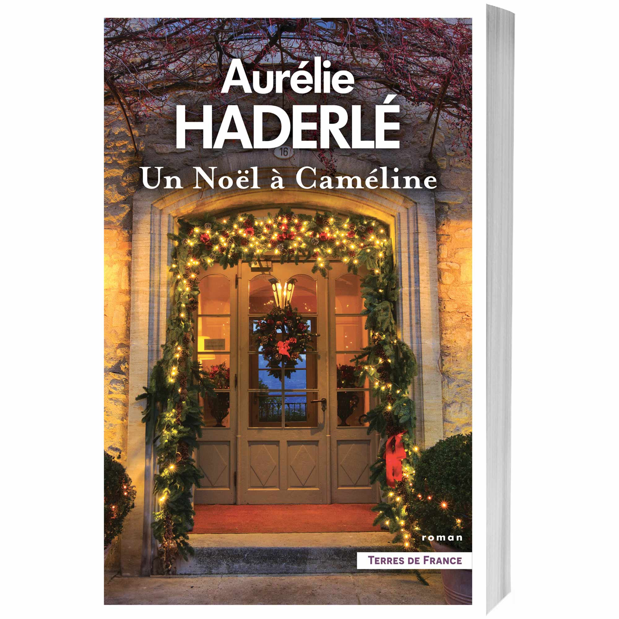 Un Noël à Caméline