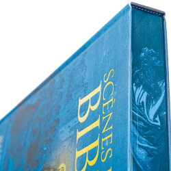 Scènes de la Bible illustrées par Gustave Doré