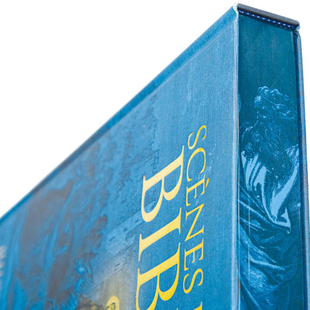 Scènes de la Bible illustrées par Gustave Doré