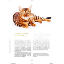 Sa majesté mon chat