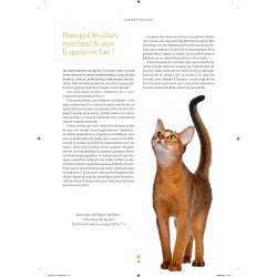 Sa majesté mon chat