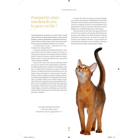 Sa majesté mon chat