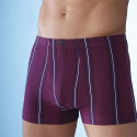 Boxers coton rayés - les 4