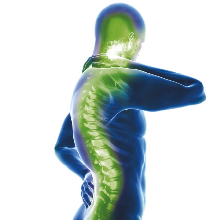 Coussin de soutien lombaire