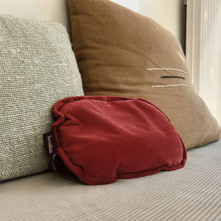 Bouillotte électrique Terraillon