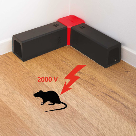 Piège à rongeurs double