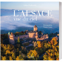 L’Alsace vue du ciel