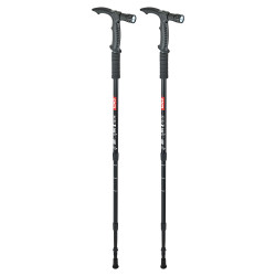 Bâtons de marche - les 2