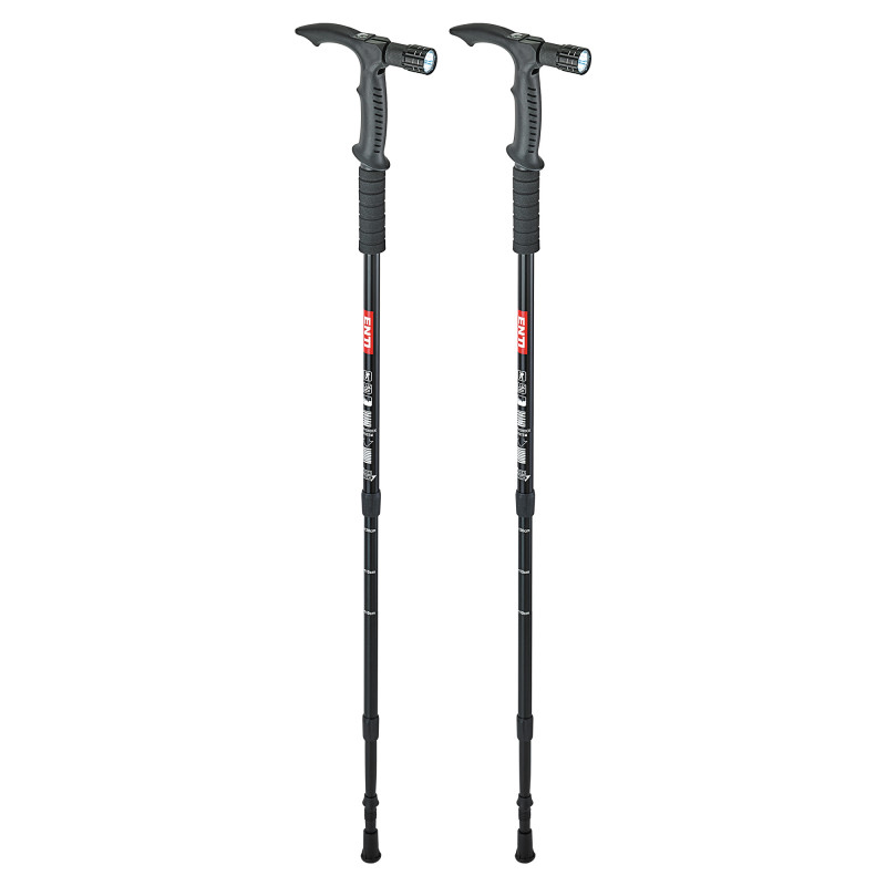 Bâtons de marche - les 2