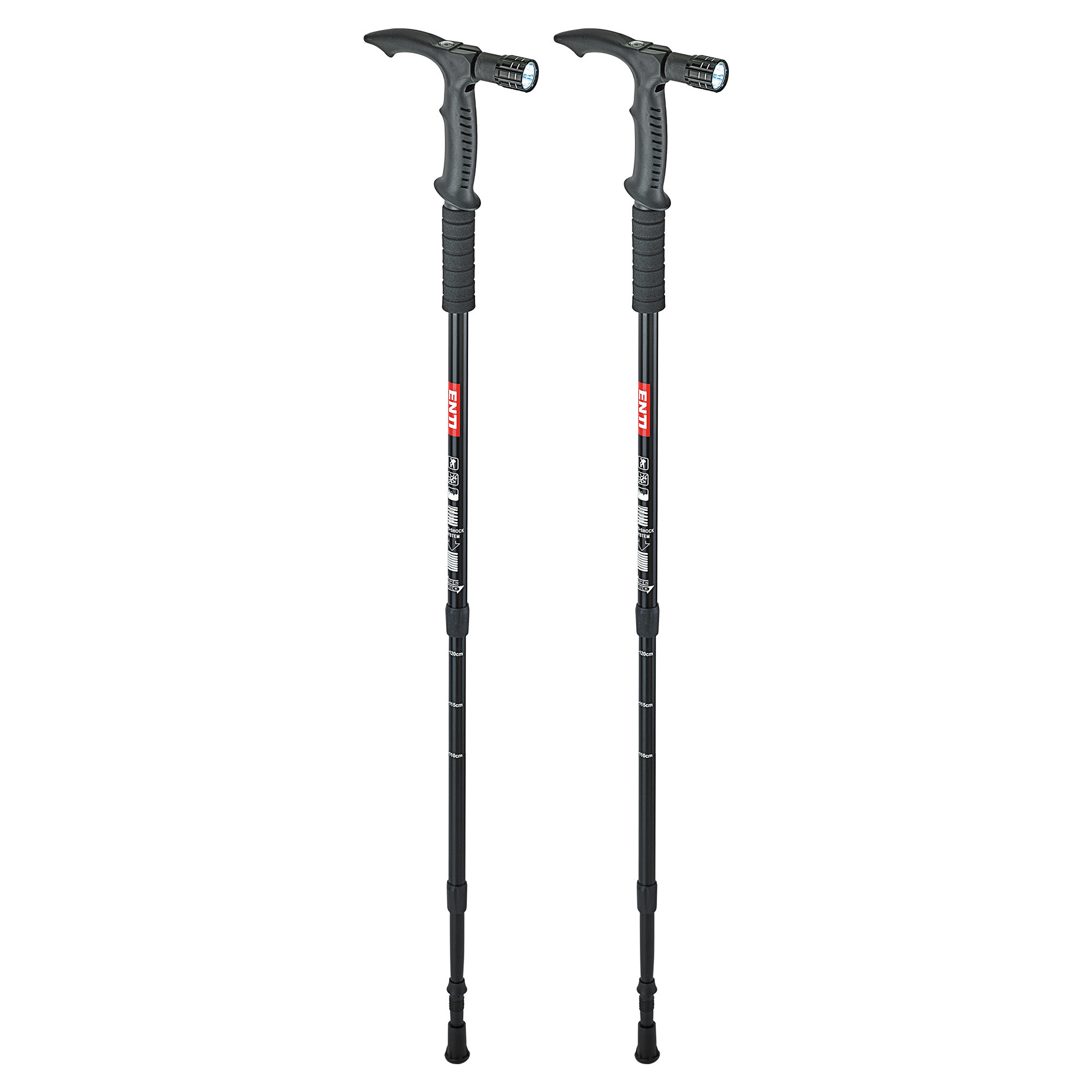 Bâtons de marche - les 2