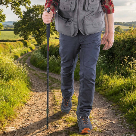 Bâtons de marche - les 2