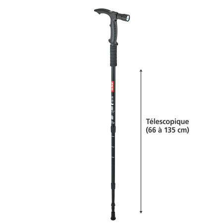 Bâtons de marche - les 2