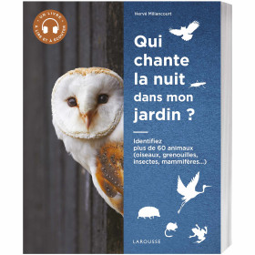 Qui chante la nuit  dans mon jardin ?, par l’Homme Moderne.