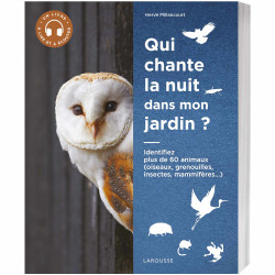 Qui chante la nuit  dans...