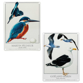 Les deux plaques oiseaux, par l’Homme Moderne.