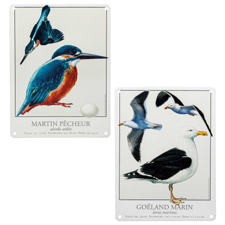 Les deux plaques oiseaux