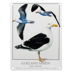 Les deux plaques oiseaux