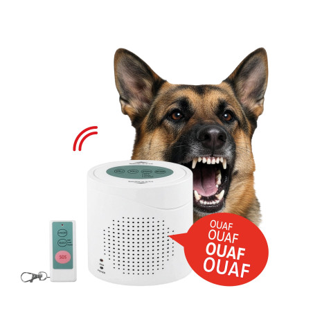 Alarme chien de garde