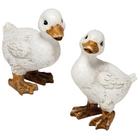 Le lot de 2 canards