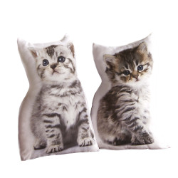 Duo de coussins  « forme...