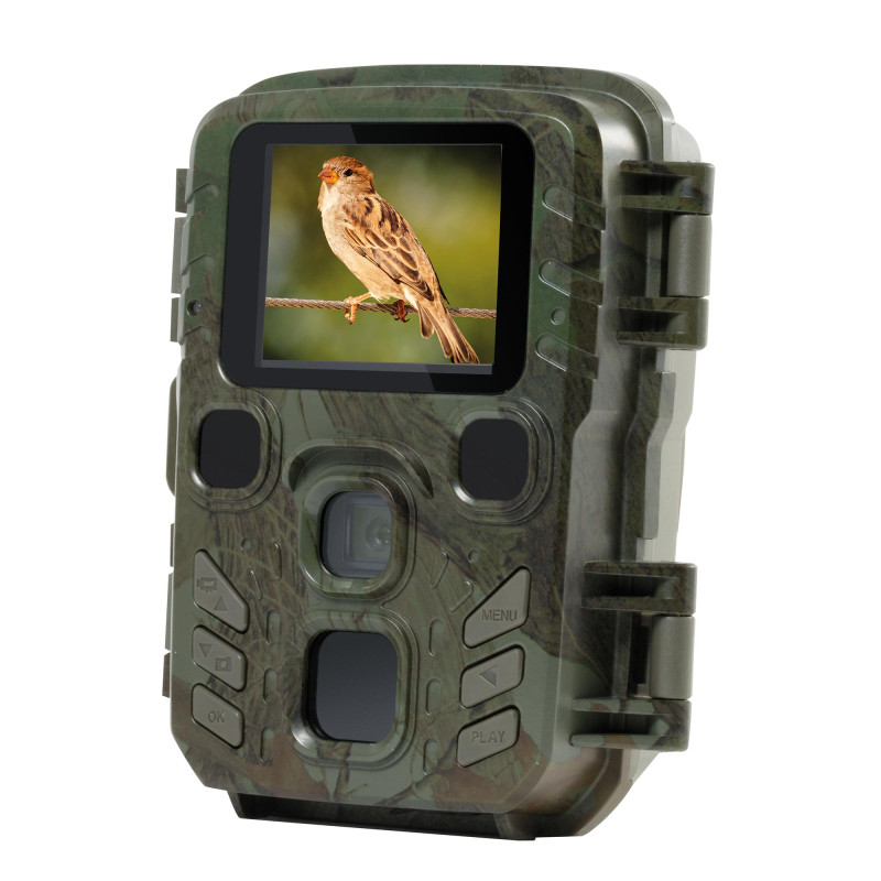 Caméra nature auto-detect