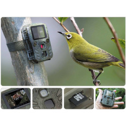 Caméra nature auto-detect