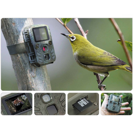 Caméra nature auto-detect