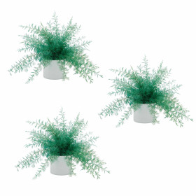 Plante repousse-insectes