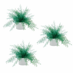 Plante repousse-insectes