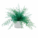 Plante repousse-insectes