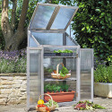 Serre de jardin