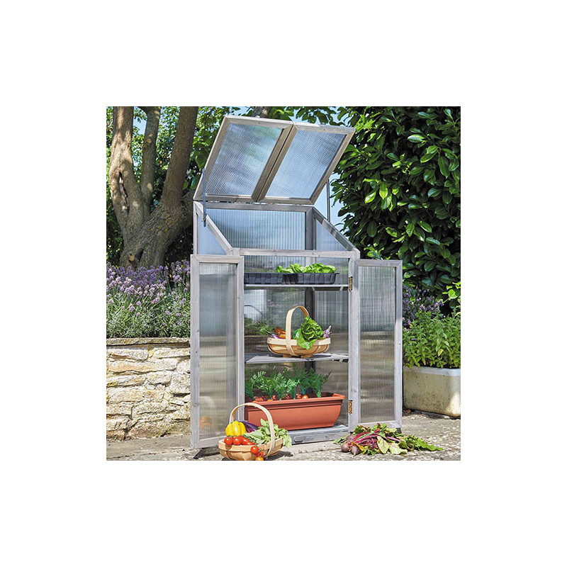Serre de jardin