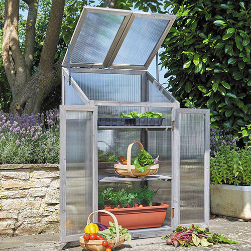Serre de jardin