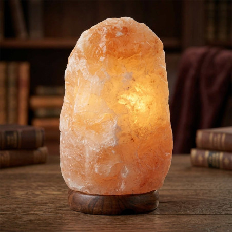 La lampe en sel de l’Himalaya