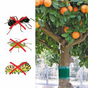 Bande de glu arboricole