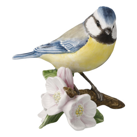 La mésange bleue