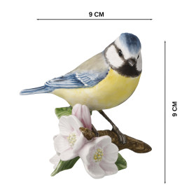 La mésange bleue