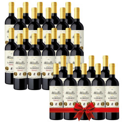 Château Lorieu 2021 24 bouteilles
