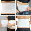 Ceinture de maintien dorsal (2)