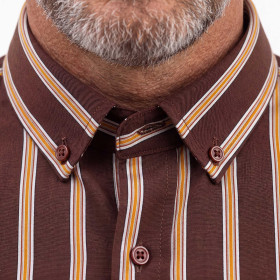 Chemise rayée Arlington (3)